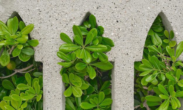 Certificări ecologice pentru betoane